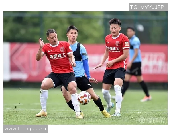 成都足球队速度飙升创历史新高引发球迷热议与期待