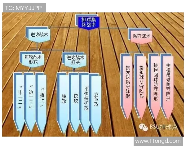 杭州排球队在邀请赛中的战术表现分析与点评探讨