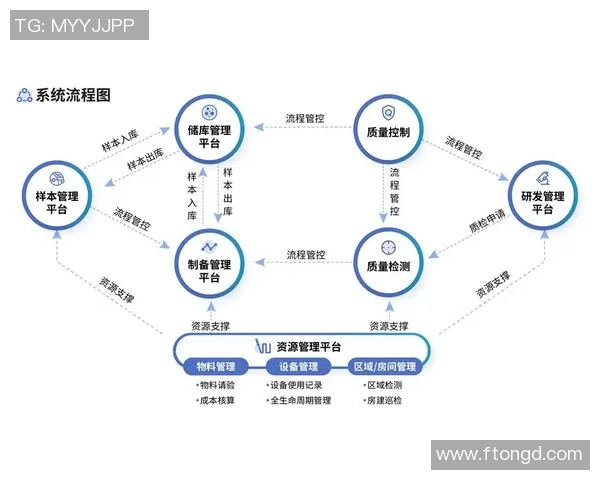 深圳网球队防守革新之路:从传统到现代的全面转型与实践探索