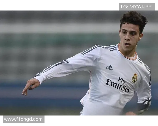 卷毛足球明星身穿绿衣服展现风采引发球迷热议与关注