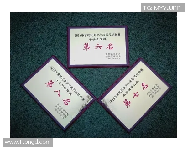 赛后分析武汉足球队与深圳足球队心理素质的较量与启示